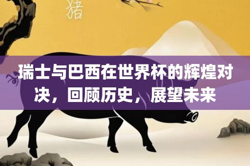 瑞士与巴西在世界杯的辉煌对决，回顾历史，展望未来