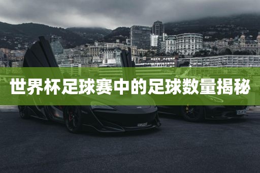 世界杯足球赛中的足球数量揭秘眉山市正发家政服务有限公司