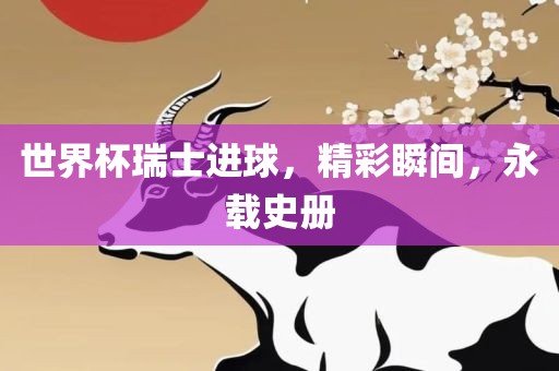世界杯瑞士进球，精彩瞬间，永载史册眉山市正发家政服务有限公司