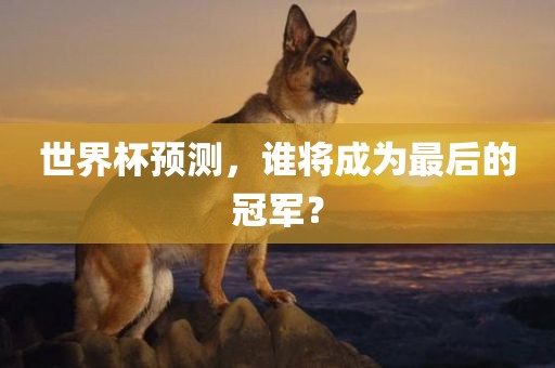 世界杯预测，谁将成为最后的冠军？眉山市正发家政服务有限公司