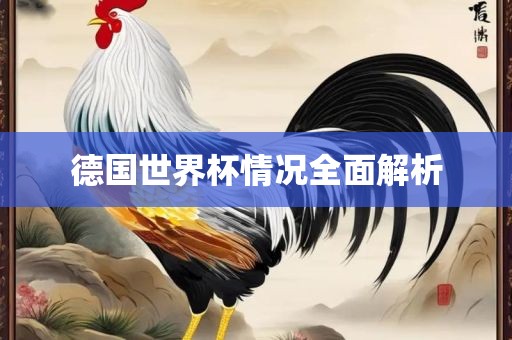 德国世界杯情况全面解析