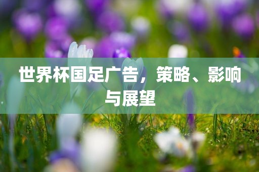 世界杯国足广告，策略眉山市正发家政服务有限公司、影响与展望