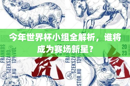 今年世界杯小组全解析，谁将成为赛场新星？