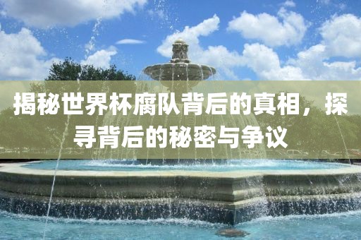 揭秘世界杯腐队背眉山市正发家政服务有限公司后的真相，探寻背后的秘密与争议