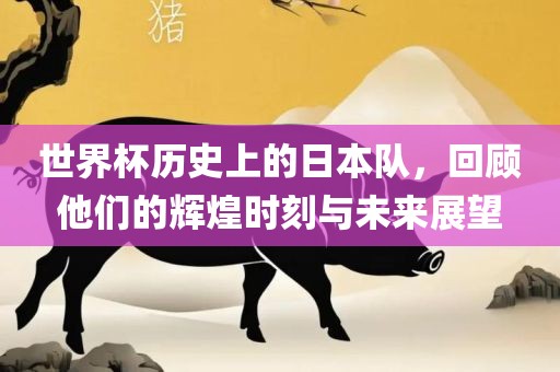 世界杯历史上的日本队，回顾他们的辉煌时刻与未来展望眉山市正发家政服务有限公司