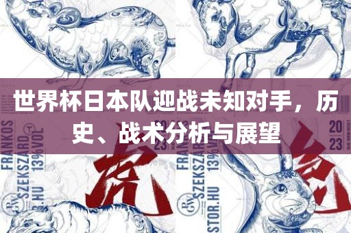 世界杯日本队迎战未知对手，历史、战术分析与展望