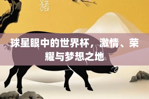 球星眼中的世界杯，激情、荣耀与梦想之地眉山市正发家政服务有限公司