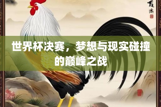 世界杯决赛，梦想与现实碰撞的巅峰之战眉山市正发家政服务有限公司