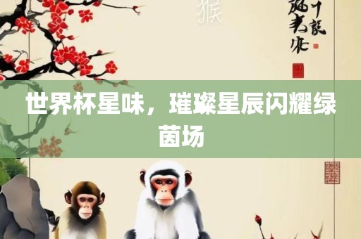 世界杯星味，璀璨星辰闪耀绿茵场眉山市正发家政服务有限公司