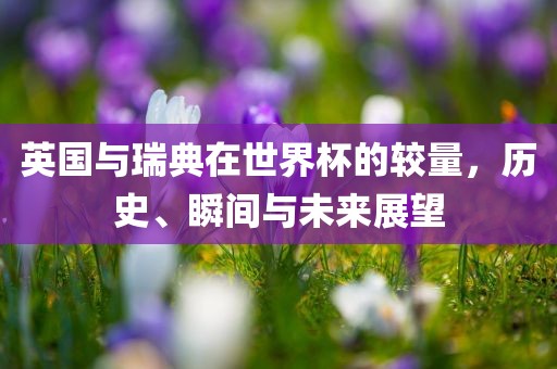 英国与瑞典眉山市正发家政服务有限公司在世界杯的较量，历史、瞬间与未来展望