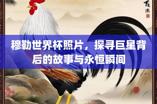 binyun 第3页