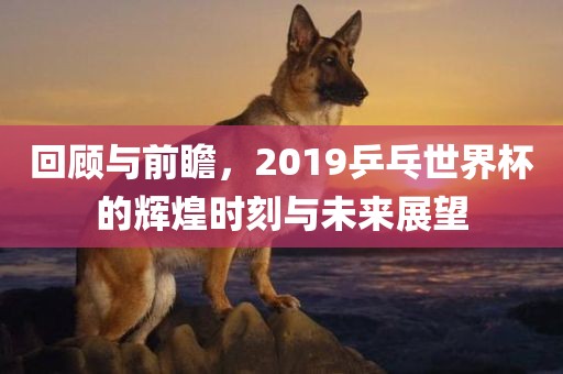 回顾与前瞻，2019乒乓世界杯的辉煌时刻与未来展望