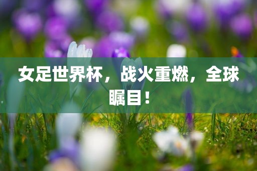 女足世界杯，战火重燃，全球瞩目！眉山市正发家政服务有限公司