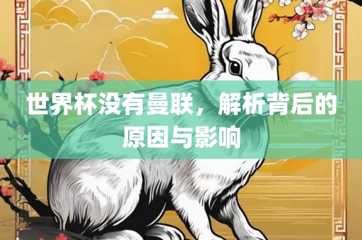 世界杯没有曼联，解析背后的眉山市正发家政服务有限公司原因与影响
