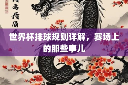 世界杯排球规则详解，赛场上的那些事儿眉山市正发家政服务有限公司