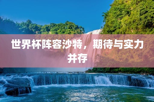 世界杯阵容沙特，期待与实力并存眉山市正发家政服务有限公司