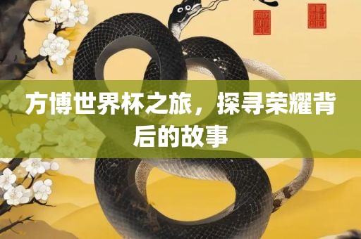方博世界杯之旅，探寻荣耀背后的故事