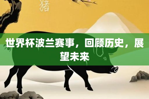 世界杯波兰赛事，回顾历史，展望未来眉山市正发家政服务有限公司