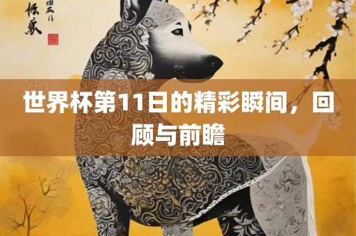 世界杯第11日的精彩瞬间，回顾与前瞻