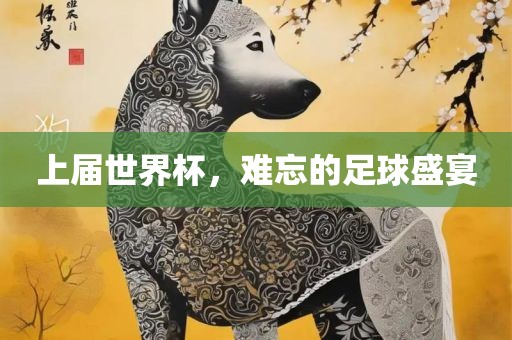 上届世界杯，难忘的足球盛宴眉山市正发家政服务有限公司