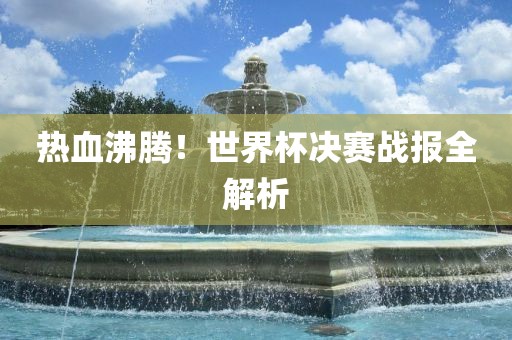 热血沸腾！世界杯决赛战报全解析眉山市正发家政服务有限公司