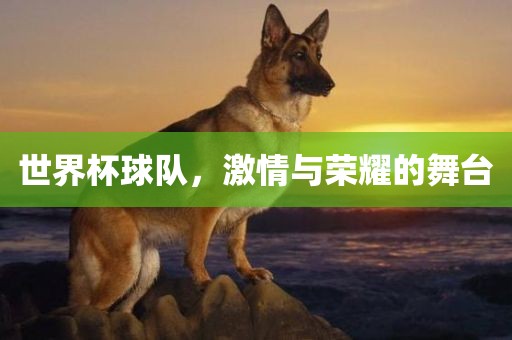 世界杯球队，激情与荣耀的舞台