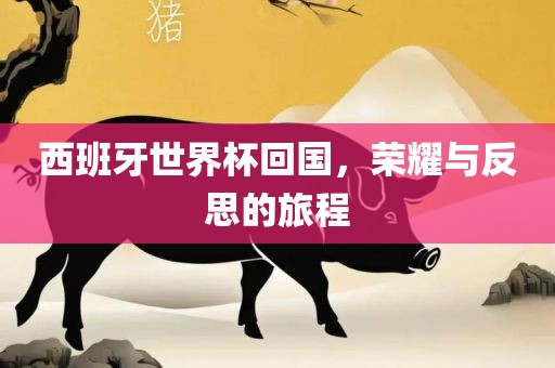 荣耀与反思