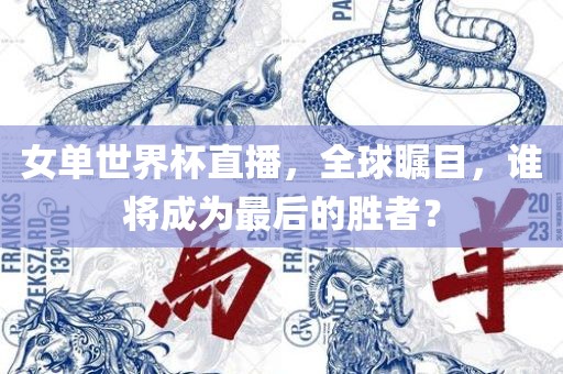 女单世界杯直播，全球瞩目，谁将成为最后的胜者？眉山市正发家政服务有限公司