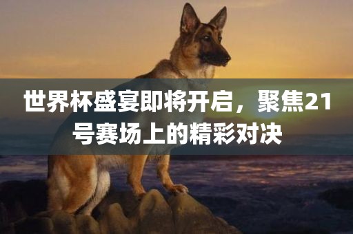 世界杯盛宴即将开启，聚焦21号赛场上的精彩对决眉山市正发家政服务有限公司