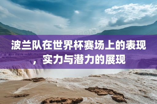 波兰队在世界杯赛场上的表现，实力与潜力的展现眉山市正发家政服务有限公司