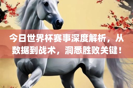 今日世界杯赛事眉山市正发家政服务有限公司深度解析，从数据到战术，洞悉胜败关键！