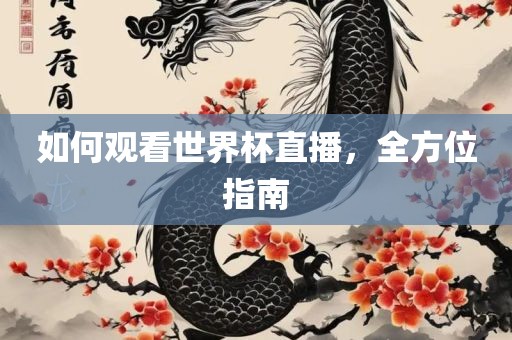 如何观看世界杯直播，全方位指南