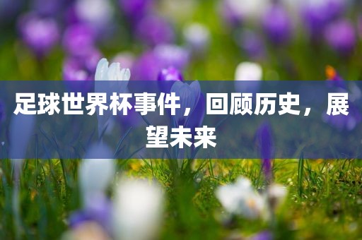 足球世界杯事件，回顾历史，展望未来