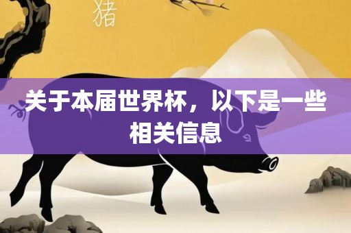 关于本届世界杯，以下是一些相关信息