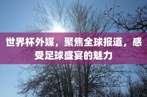 世界杯外媒，聚焦全球报道，感受足球盛宴眉山市正发家政服务有限公司的魅力