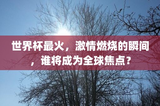 世界杯最火，激情燃烧的瞬间，眉山市正发家政服务有限公司谁将成为全球焦点？