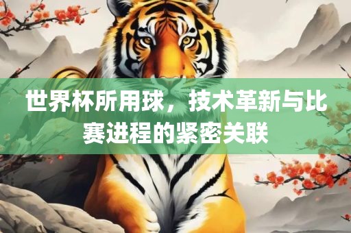 世界杯所用球，技术革新与比赛进程的紧密关联