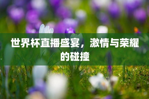 世界杯直播盛宴，激情与荣耀的碰撞眉山市正发家政服务有限公司