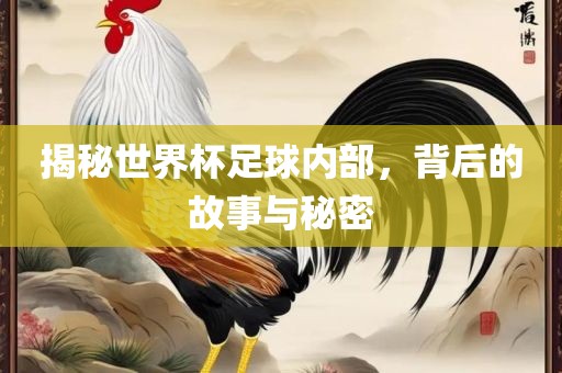 揭秘世界杯足球内部，背后的故事与秘密眉山市正发家政服务有限公司