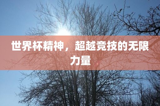 世界杯精神，超越竞技的无限力量眉山市正发家政服务有限公司