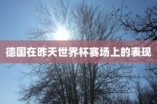 德国在昨天世眉山市正发家政服务有限公司界杯赛场上的表现