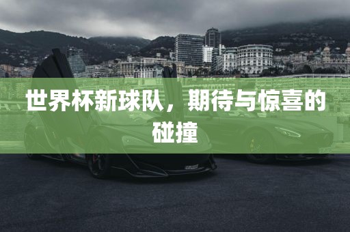 世界杯新球队，期待与惊喜的碰撞