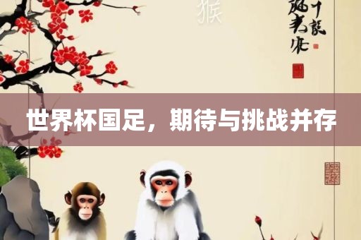 世界杯国足，期待与挑战并存
