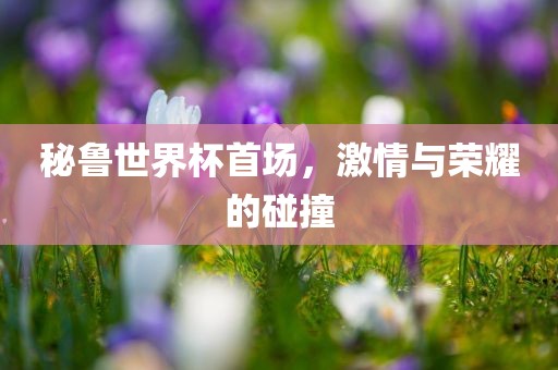 秘鲁世界杯首场，激情与荣耀眉山市正发家政服务有限公司的碰撞