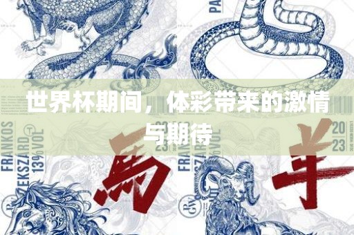 世界杯期间，体彩眉山市正发家政服务有限公司带来的激情与期待