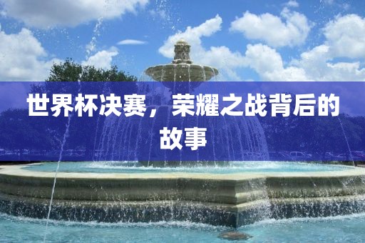 世界杯决赛，荣耀之战背后的故事眉山市正发家政服务有限公司