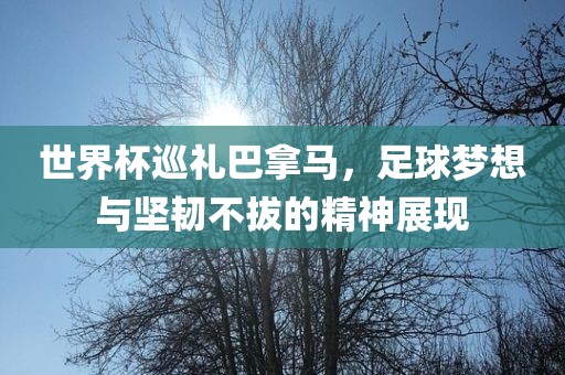 世界杯巡礼巴拿马，足球梦想与坚韧不拔的精神展现眉山市正发家政服务有限公司
