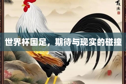 世界杯国足，期待与现实的碰撞