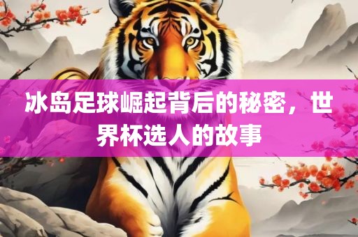 冰岛足球崛起背后的秘密，世界杯选人的故事