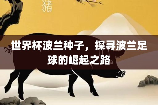 世界杯波兰种子，探寻波兰足球的崛起之路